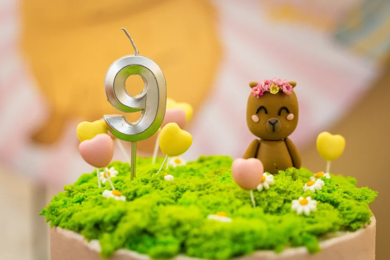 aniversario_infantil_eventos_pitoresco (11)