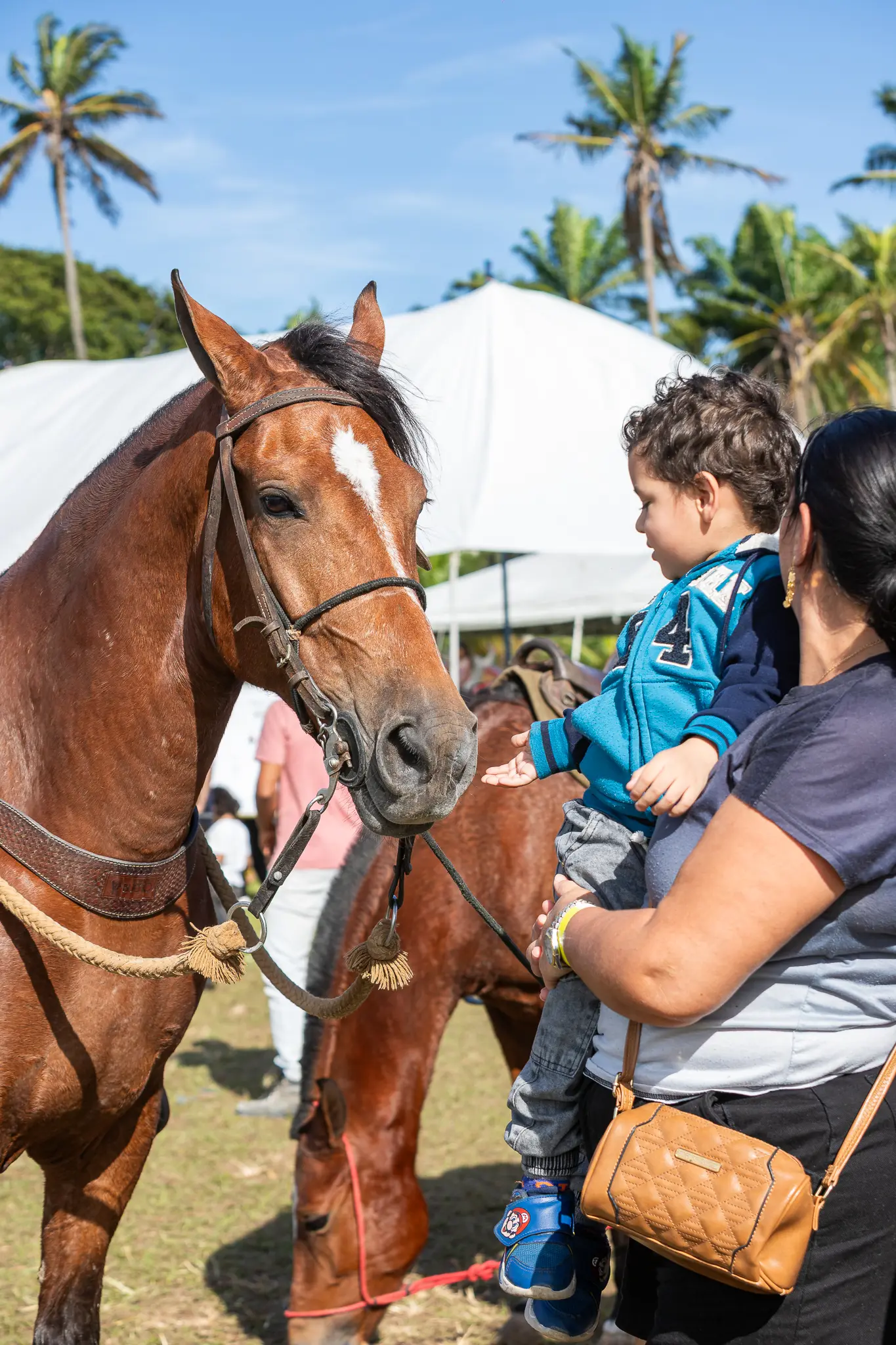 semana_rural_eventos_pitoresco (15)