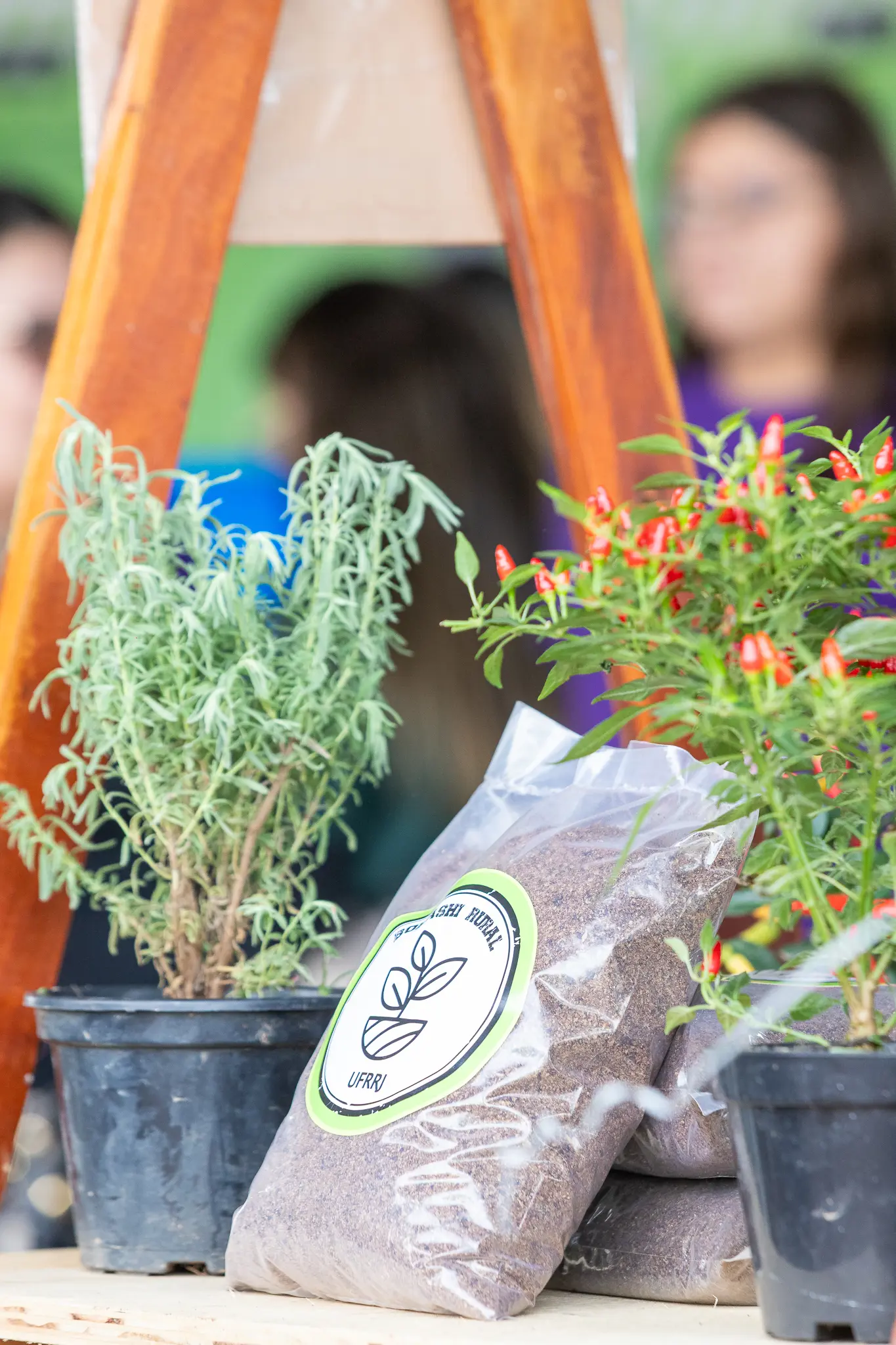 semana_rural_eventos_pitoresco (2)